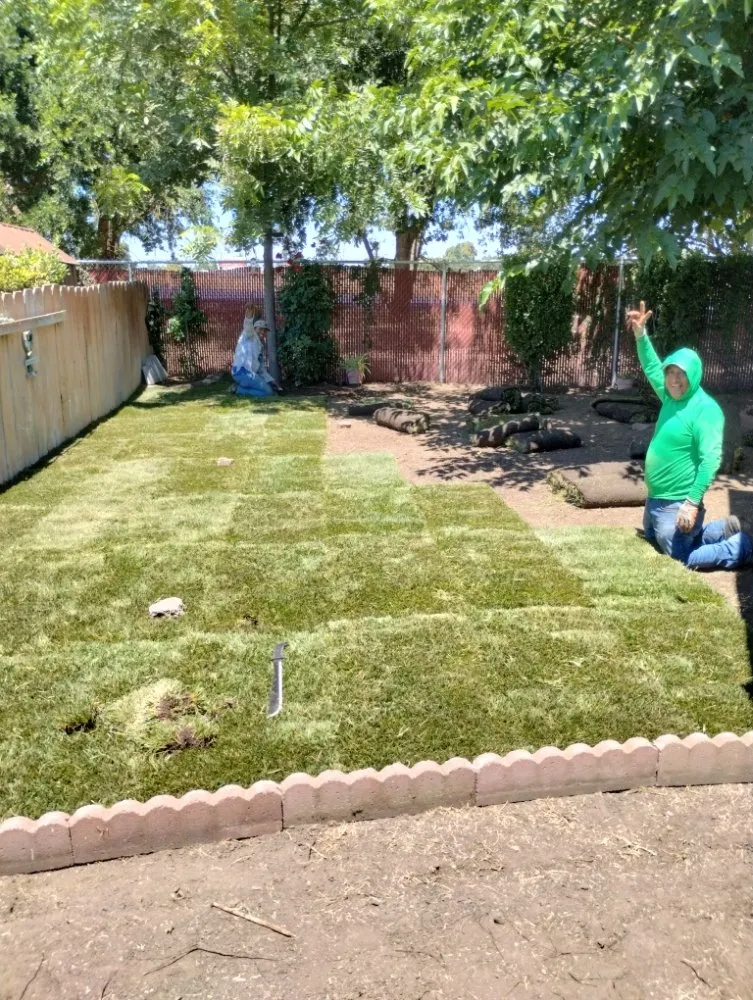 Local yard cleanup service in Stockton, CA by Delgadillo Lawn Care