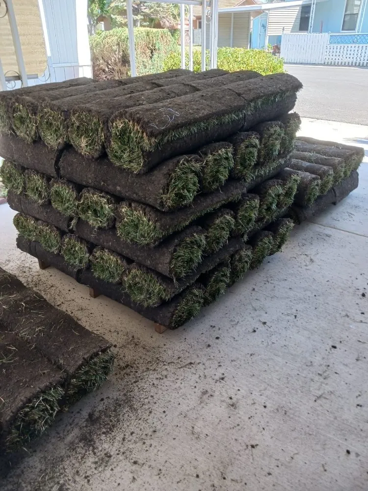 Top-rated outdoor landscaping in Stockton, CA - Delgadillo Lawn Care