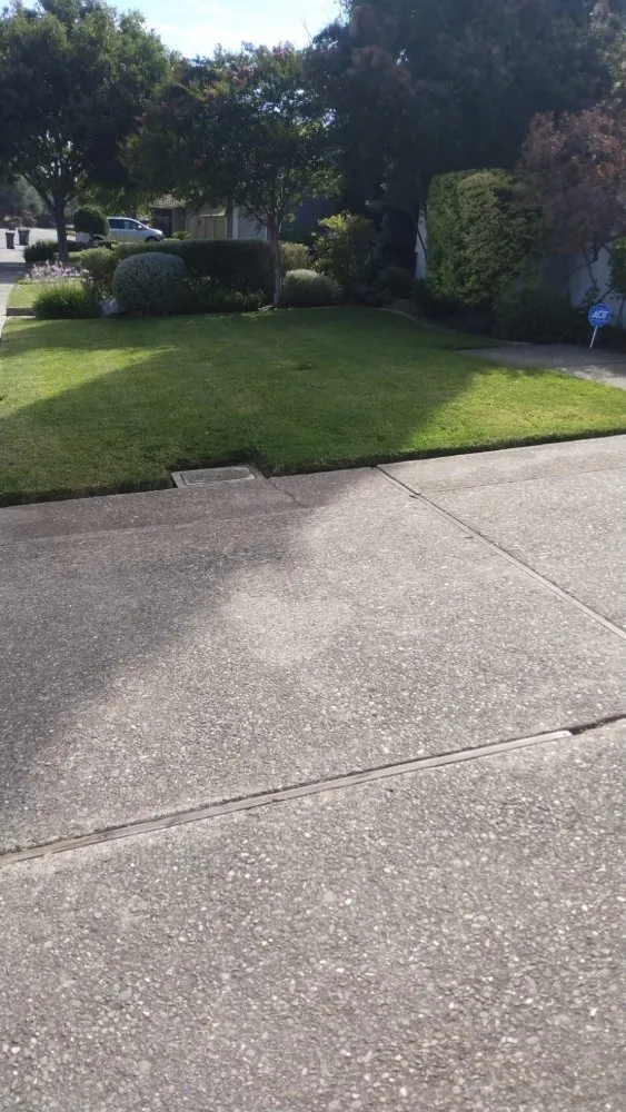 Trusted lawn care service in Stockton, CA by Delgadillo Lawn Care