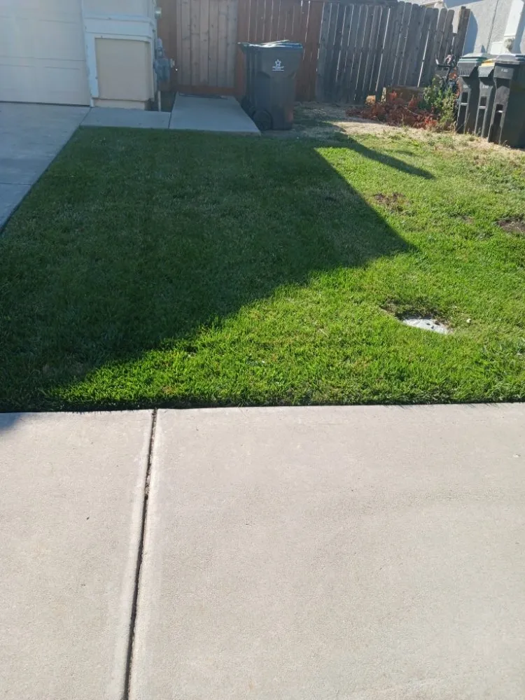 Affordable yard maintenance experts serving Stockton, CA - Delgadillo Lawn Care
