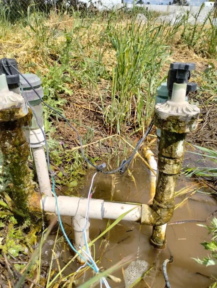 Top-rated lawn mowing service experts serving Stockton, CA - Delgadillo Lawn Care