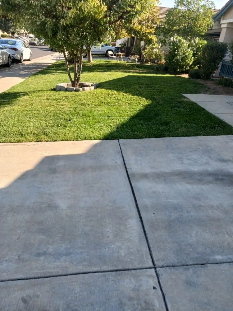 Top-rated landscaping services in Stockton, CA by Delgadillo Lawn Care