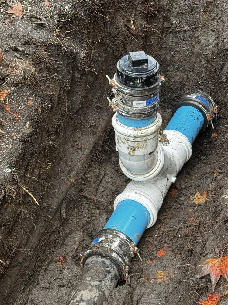 Local lawn care service for beautiful yards in Redwood City, CA by Delgado Construction