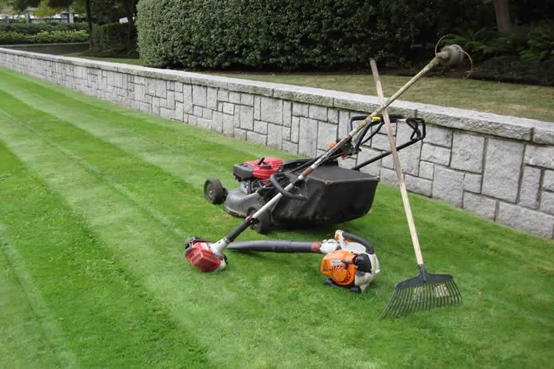 Local landscape installation for outdoor upgrades in Thousand Palms, CA by Delgado Landscape And Tree Service