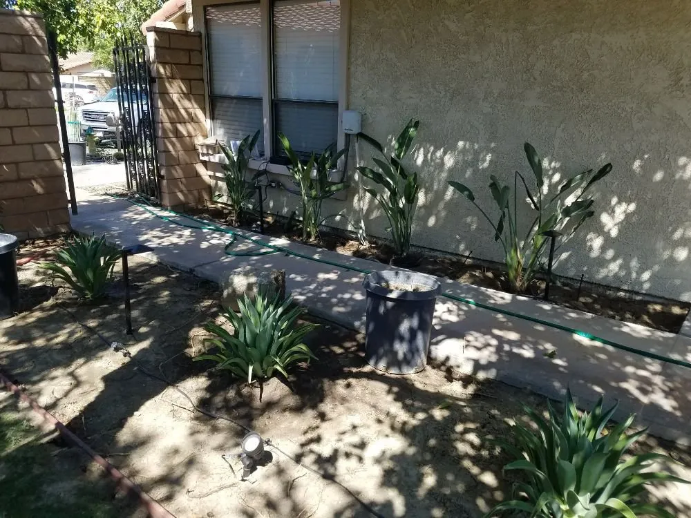 Trusted landscape design for beautiful yards in Thousand Palms, CA by Delgado Landscape And Tree Service
