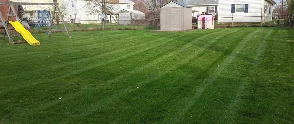 Trusted lawn mowing service with custom design across Cleveland, OH - Delgado Landscape