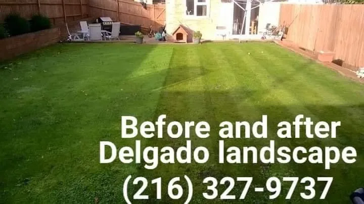 Professional landscaping services in Cleveland, OH by Delgado Landscape