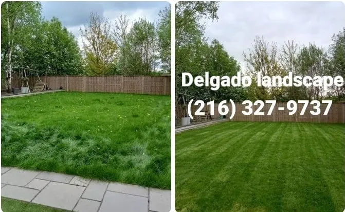 Local landscape installation in Cleveland, OH - Delgado Landscape