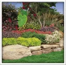 Top-rated garden landscaping for residential properties across Orlando, FL - Delgado Landscape