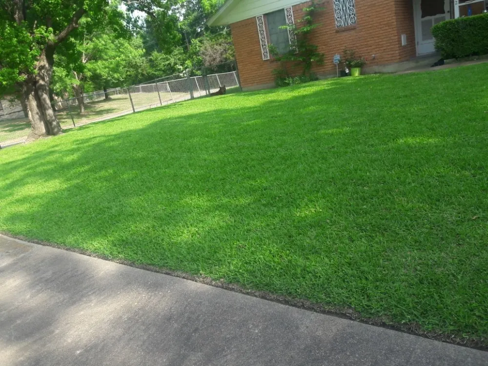 Top-rated landscape installation in Dallas, TX - Delgado Landscaping & Garden