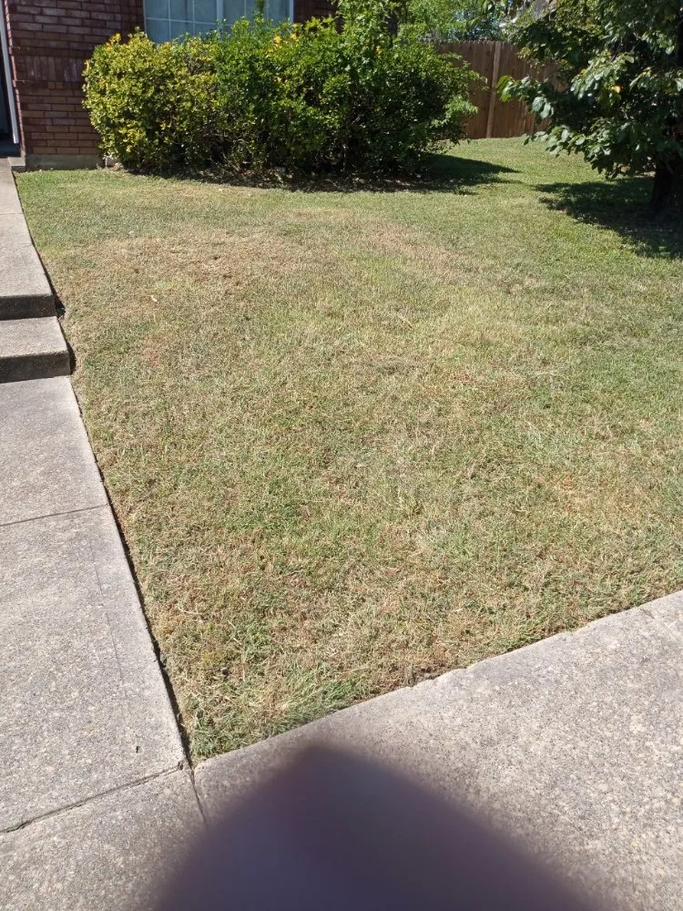 Custom landscape installation in Dallas, TX - Delgado Landscaping & Garden