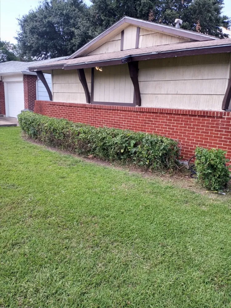 Trusted residential landscaping in Dallas, TX - Delgado Landscaping & Garden