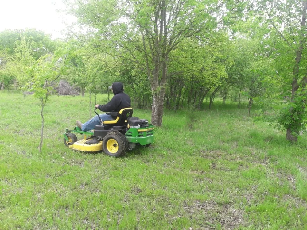 Top-rated yard cleanup service experts serving Dallas, TX - Delgado Landscaping & Garden