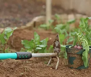 Local landscape design for residential properties in Flanders, NJ by Delgado Landscaping and Design