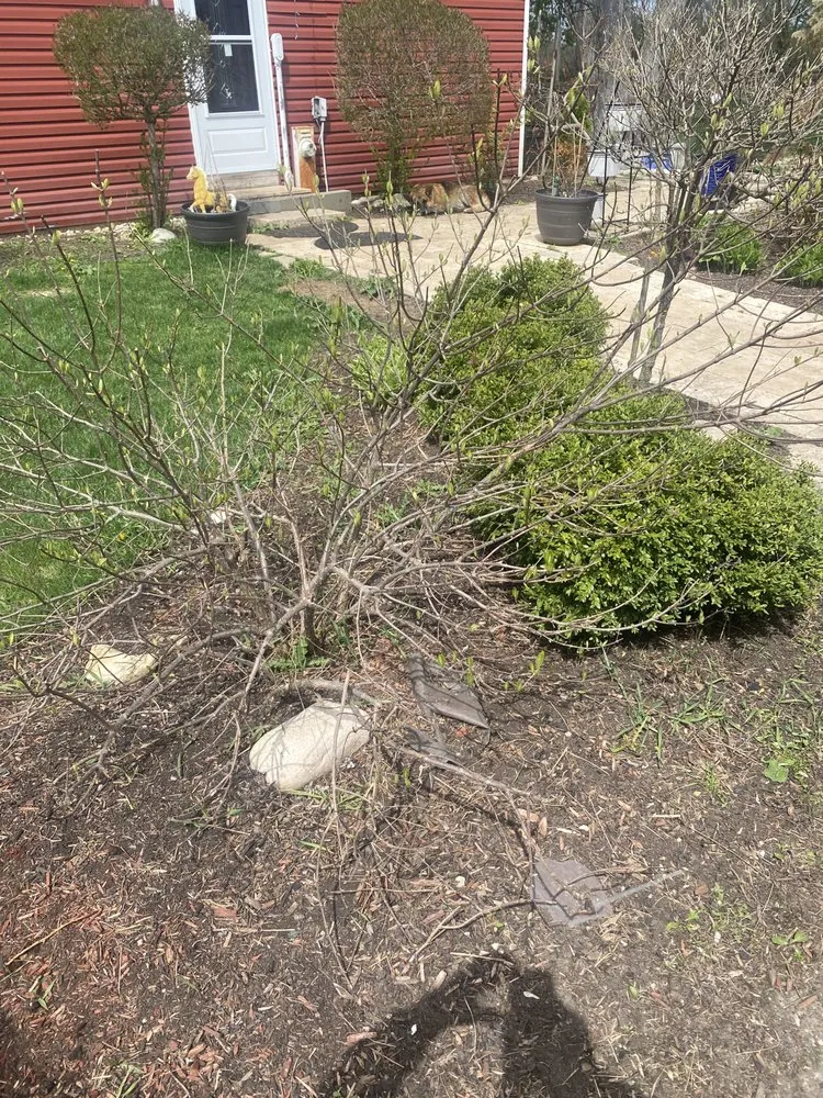 Top-rated yard cleanup service for outdoor upgrades across Round Lake, IL - Delgado Landscaping and Hardscaping