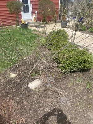 Delgado Landscaping and Hardscaping