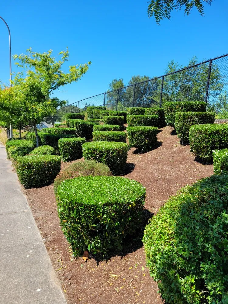 Trusted landscape design with custom design in Auburn, WA by Delgado Landscaping