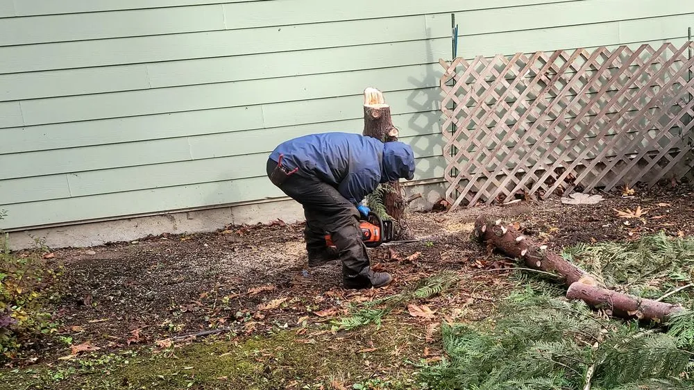 Reliable yard maintenance in Auburn, WA - Delgado Landscaping