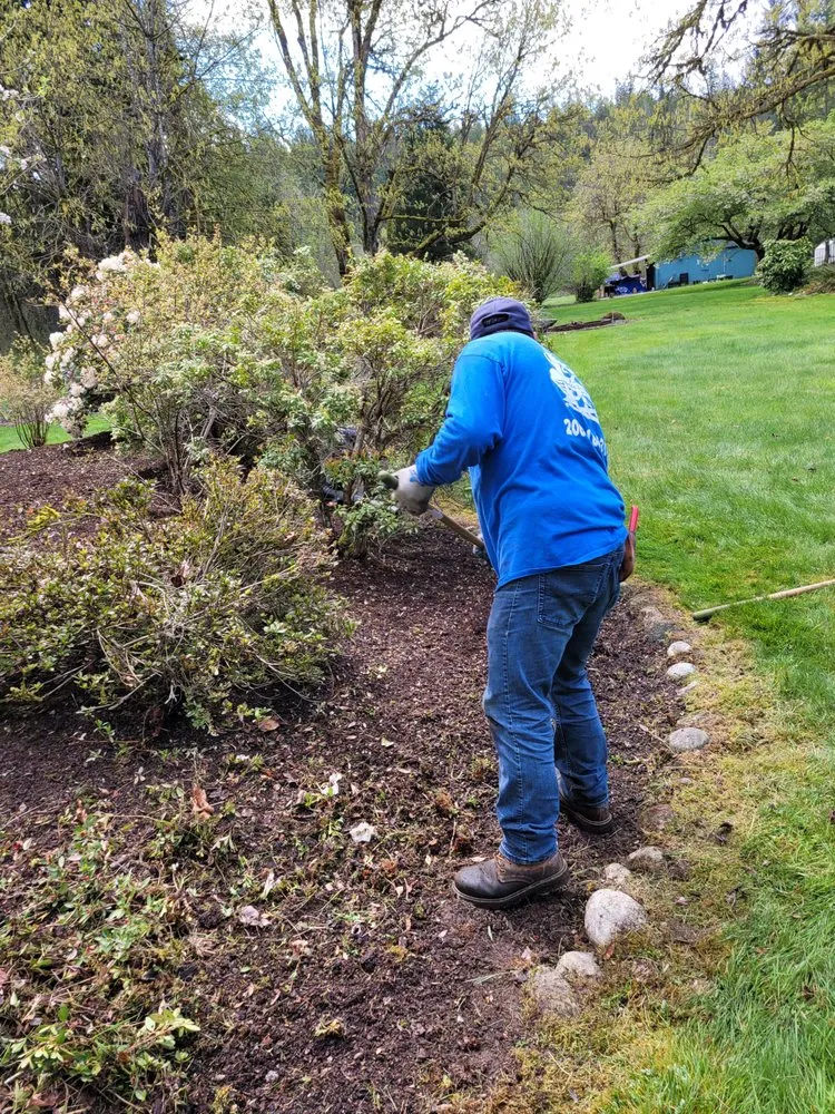 Reliable yard maintenance in Auburn, WA by Delgado Landscaping