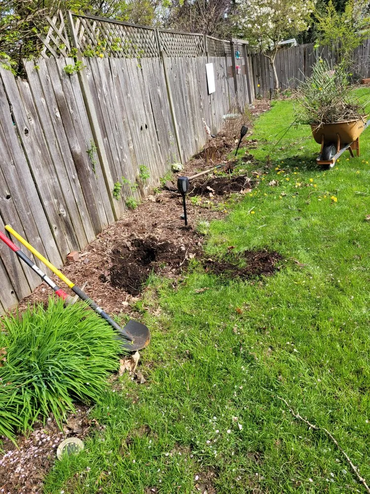 Trusted lawn care service for residential properties across Auburn, WA - Delgado Landscaping