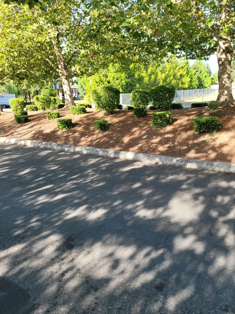Trusted landscape design in Auburn, WA - Delgado Landscaping