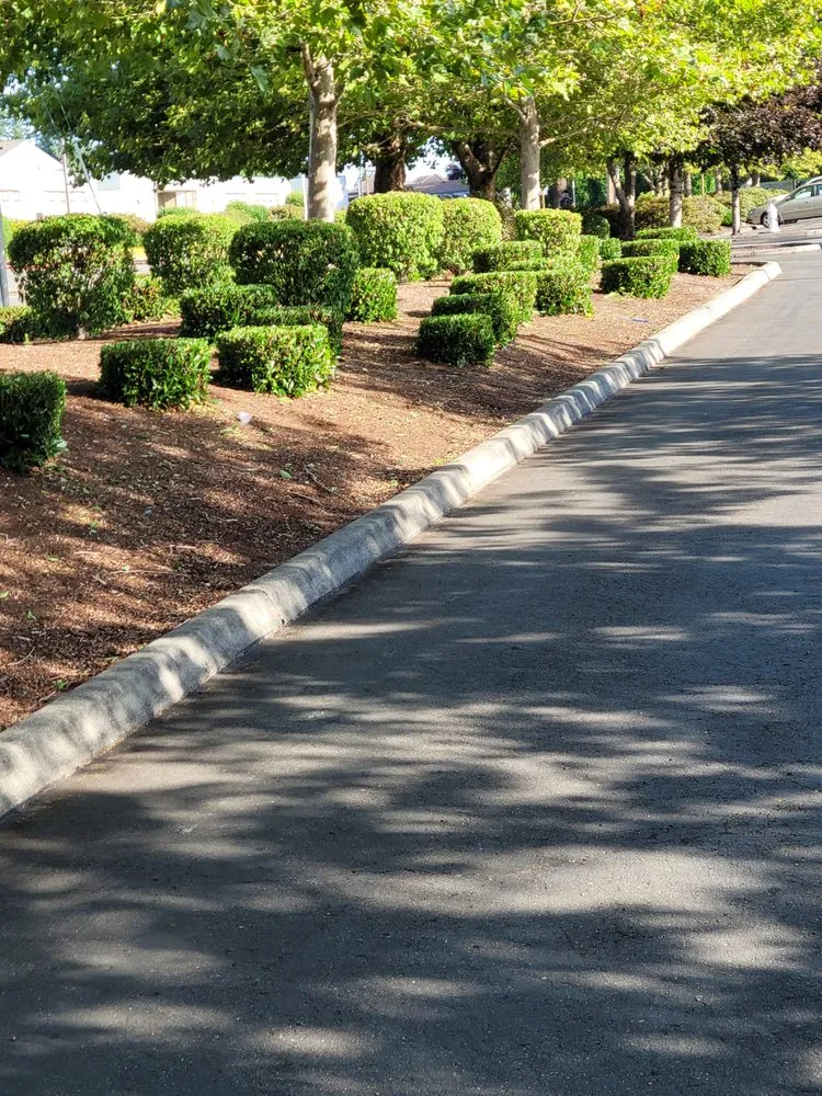 Expert landscape installation in Auburn, WA - Delgado Landscaping