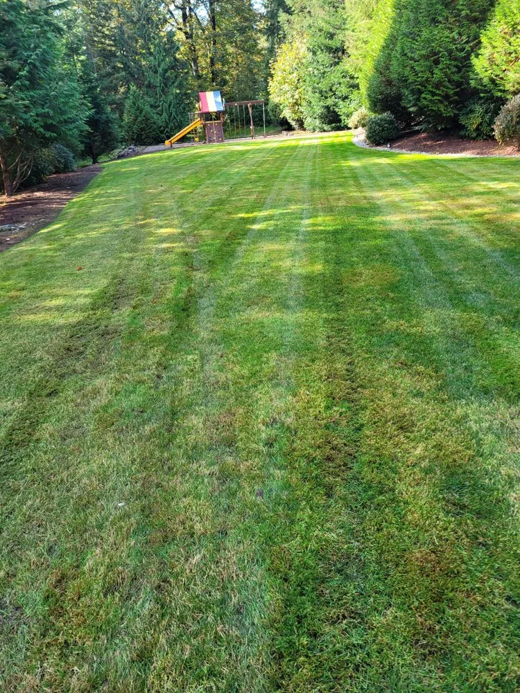 Trusted landscape installation for residential properties across Auburn, WA - Delgado Landscaping