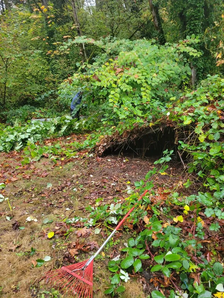 Reliable landscape installation in Auburn, WA by Delgado Landscaping