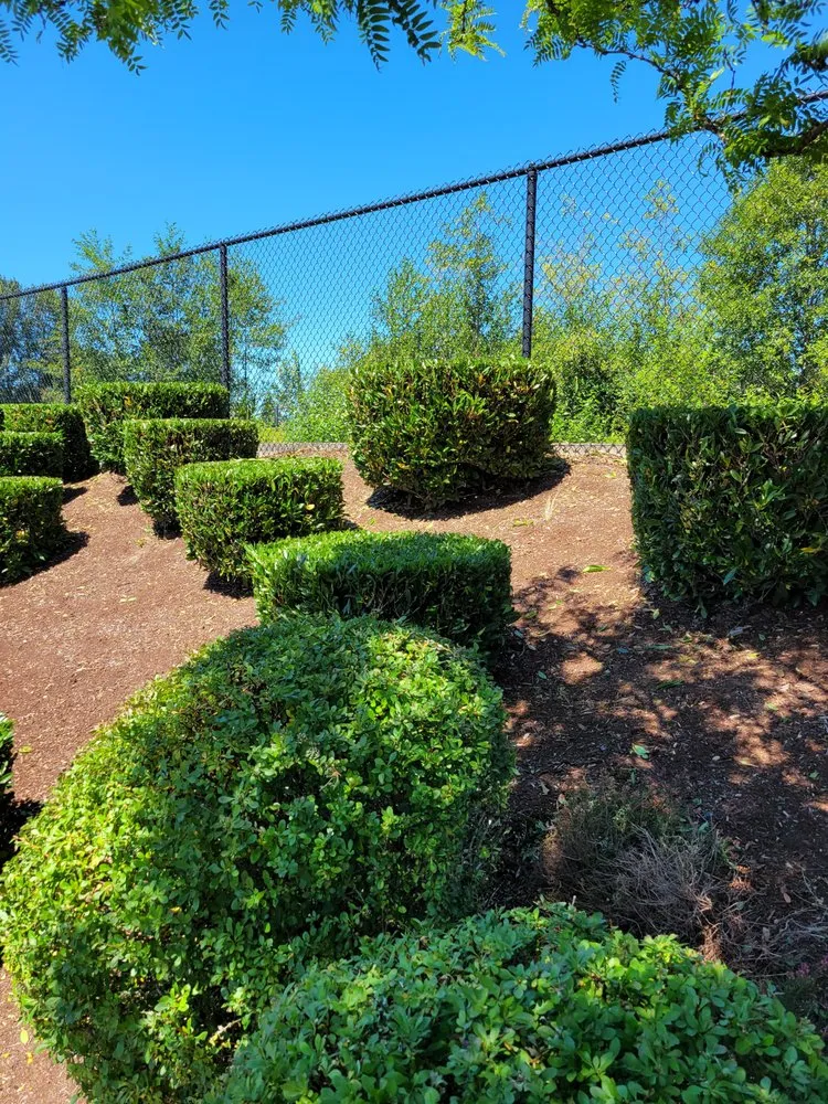 Top-rated landscape design for year-round maintenance across Auburn, WA - Delgado Landscaping