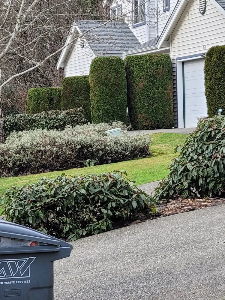 Custom landscape installation in Auburn, WA - Delgado Landscaping