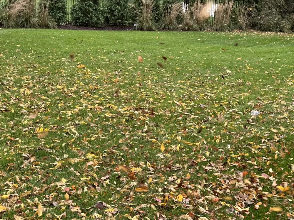 Custom landscape installation in Aurora, IL by Delgado Landscaping