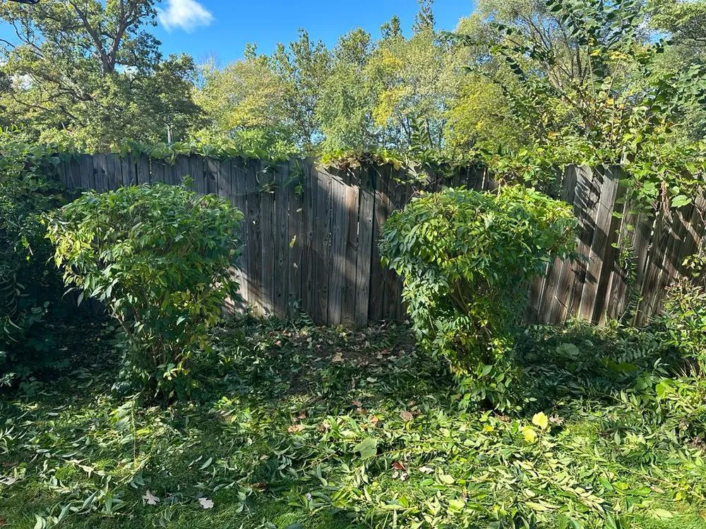 Expert landscaping services near you across Aurora, IL - Delgado Landscaping