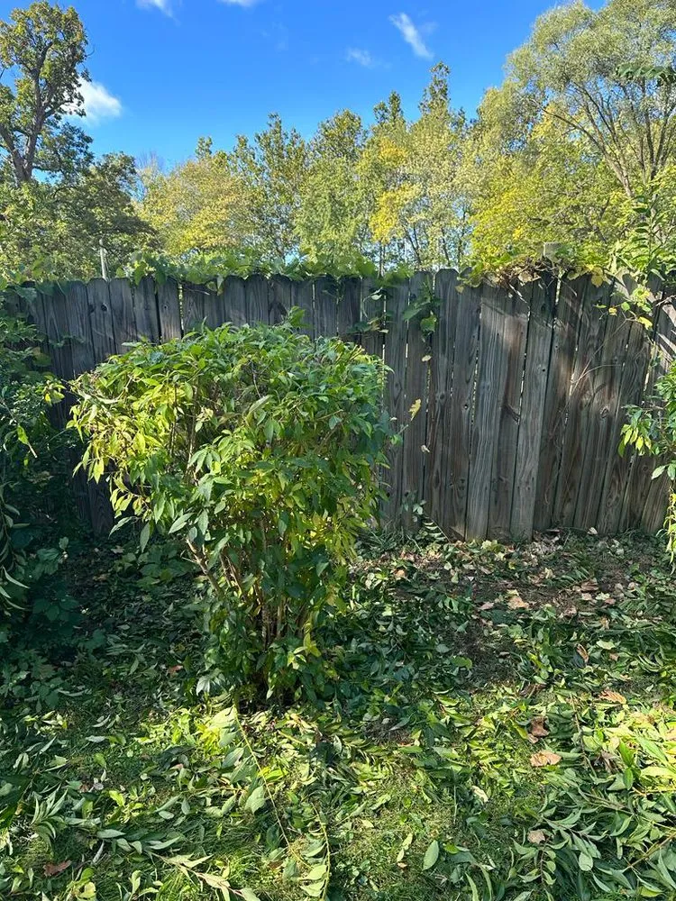 Affordable garden landscaping for beautiful yards in Aurora, IL by Delgado Landscaping