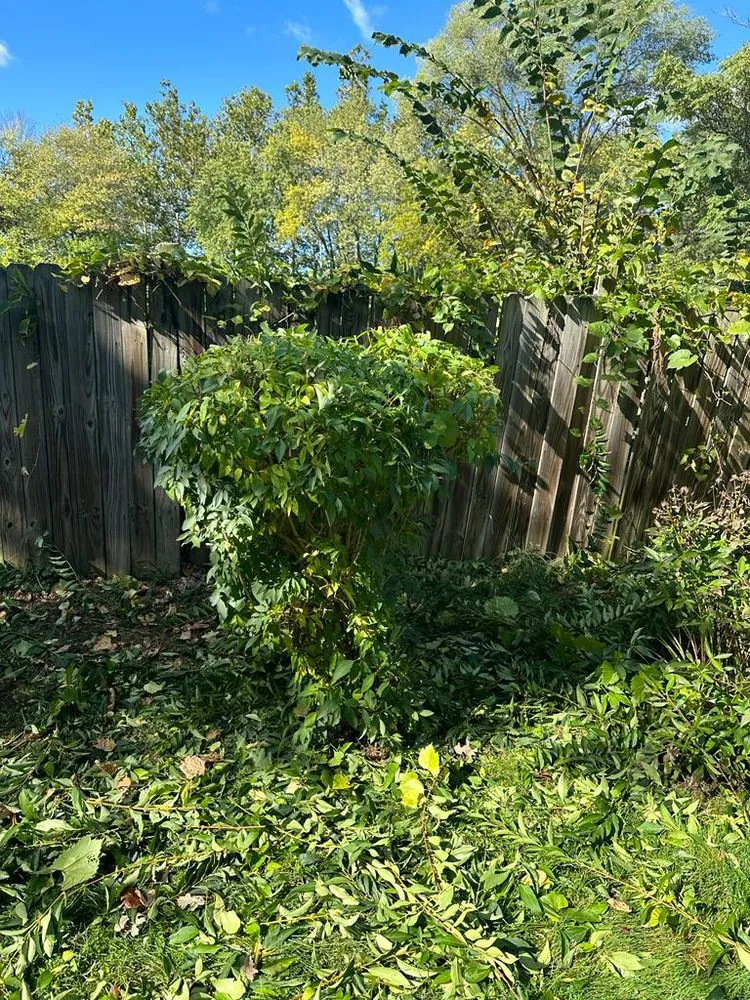 Reliable landscape installation experts serving Aurora, IL - Delgado Landscaping