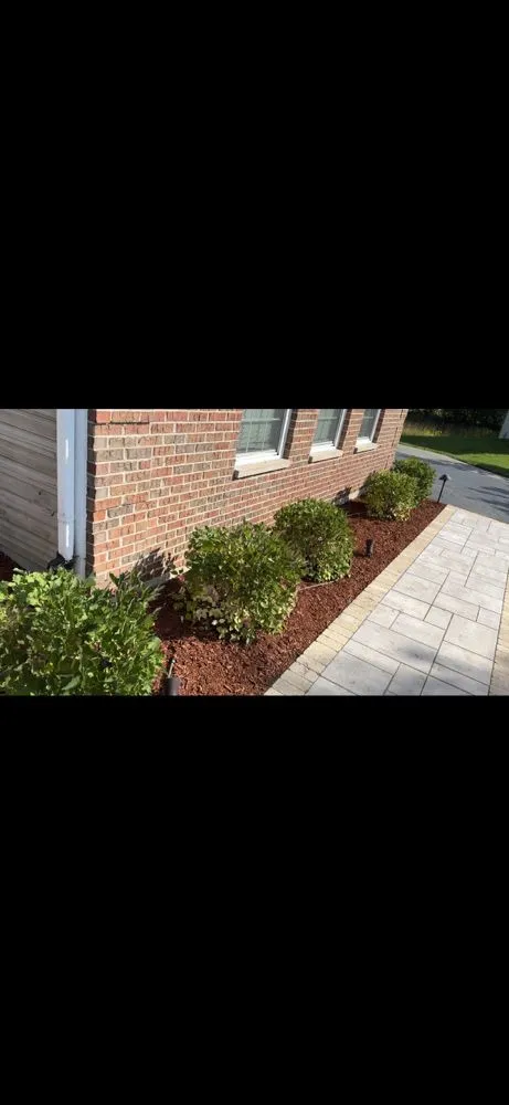 Reliable yard cleanup service for homes in Aurora, IL by Delgado Landscaping