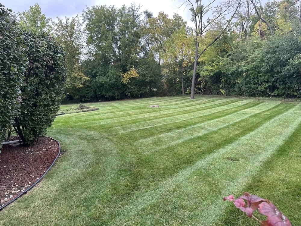 Professional garden landscaping experts serving Aurora, IL - Delgado Landscaping