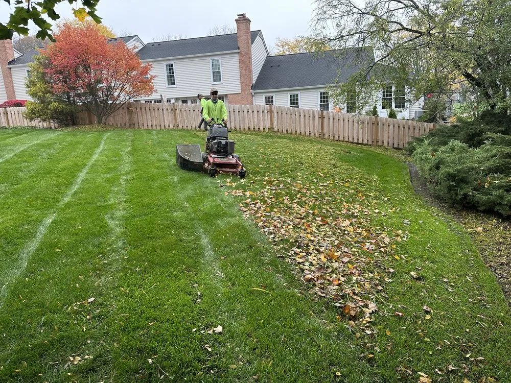 Expert yard cleanup service experts serving Aurora, IL - Delgado Landscaping
