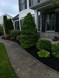 Affordable landscape installation for year-round maintenance in Denton, TX by Delgado Landscaping