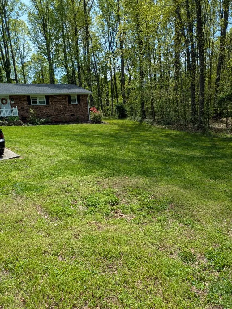 Top-rated outdoor landscaping experts serving Reidsville, NC - Delgado Landscaping