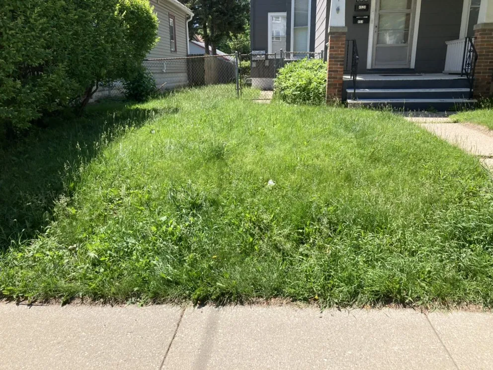 Custom outdoor landscaping for year-round maintenance across Milwaukee, WI - Delgado Lawn Care Company & More