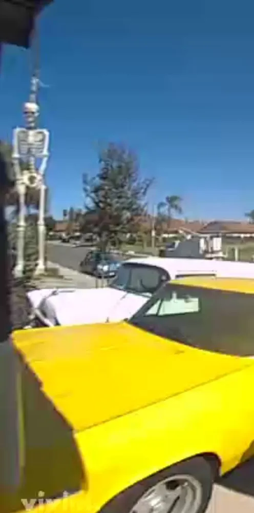 Trusted lawn mowing service experts serving Pico Rivera, CA - Delgado Maintenance & Restoration