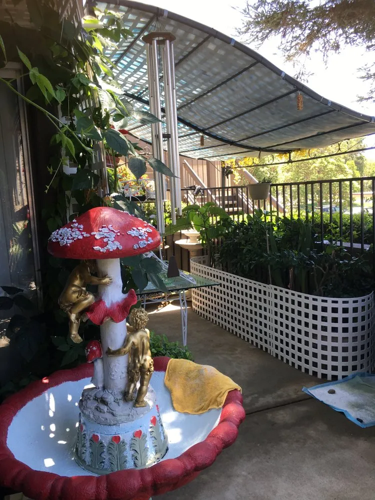 Reliable outdoor landscaping for year-round maintenance across Pico Rivera, CA - Delgado Maintenance & Restoration