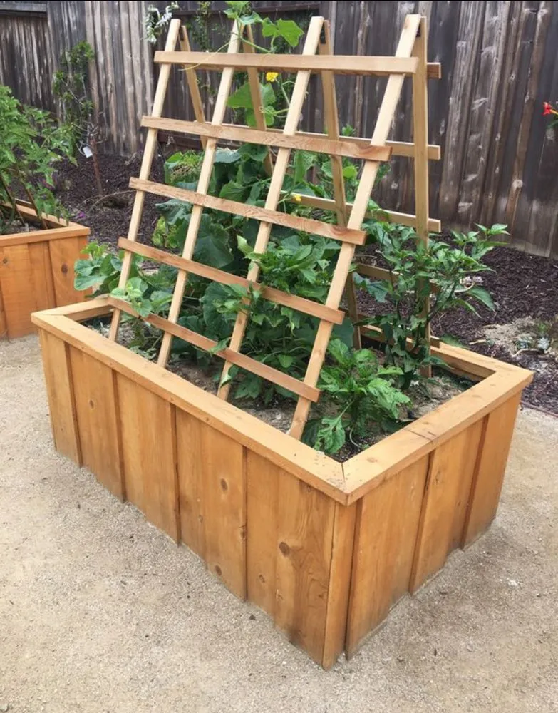 Reliable lawn care service near you across Pico Rivera, CA - Delgado Maintenance & Restoration