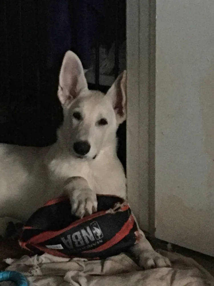 Trusted landscape design experts serving Pico Rivera, CA - Delgado Maintenance & Restoration