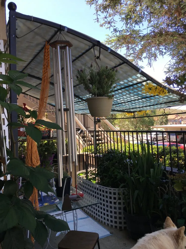 Trusted lawn care service in Pico Rivera, CA by Delgado Maintenance & Restoration