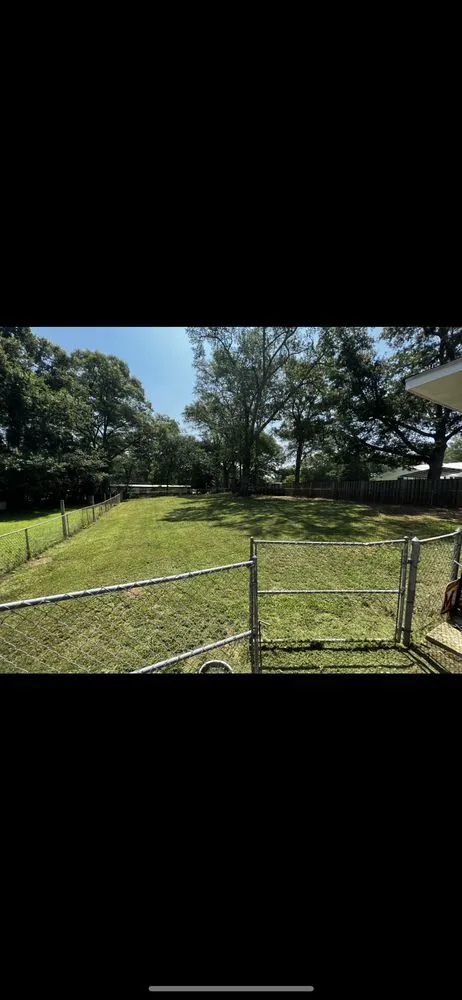 Expert yard cleanup service for beautiful yards across Sharpsburg, GA - Delgado Solutions