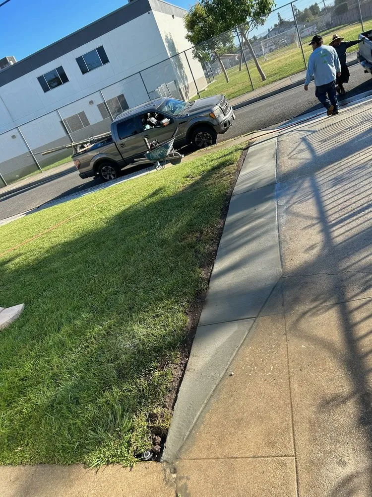 Local landscape installation in Lawndale, CA by Delgados Landscape