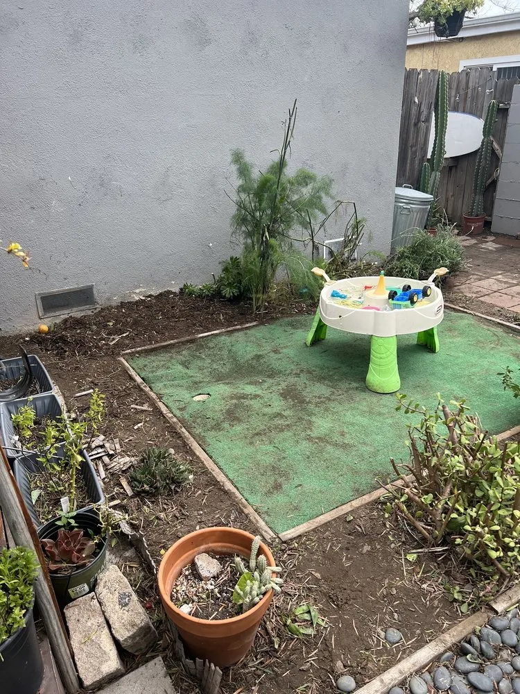 Local landscape design near you in Lawndale, CA by Delgados Landscape