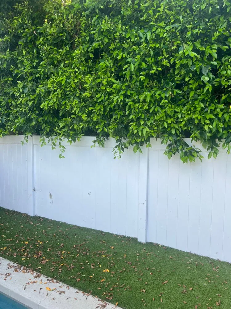 Expert lawn mowing service for beautiful yards across Lawndale, CA - Delgados Landscape