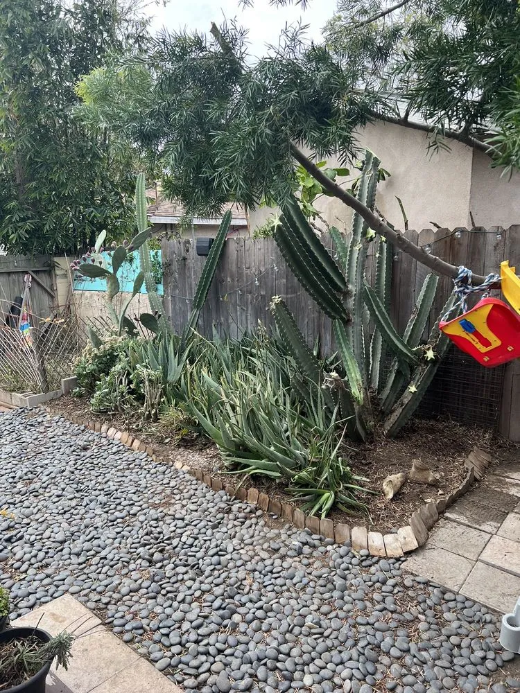 Professional landscape design in Lawndale, CA - Delgados Landscape